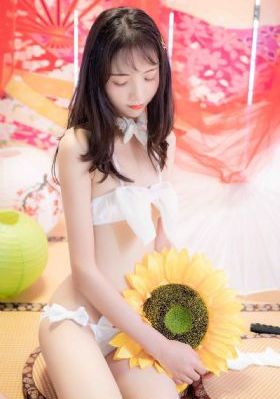 金粉蝶_高清在线视频播放